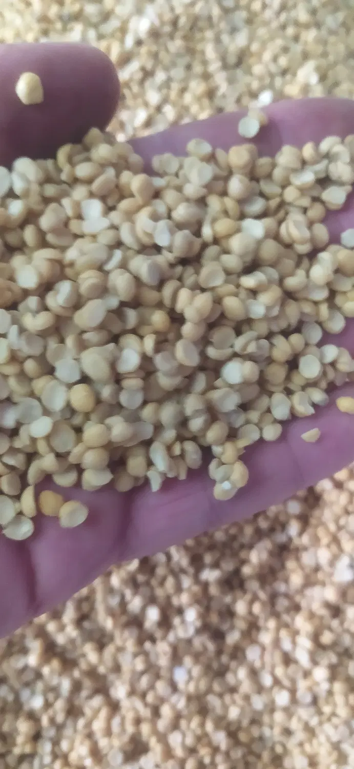 لپه|خوردنی و آشامیدنی|گرمی, |دیوار