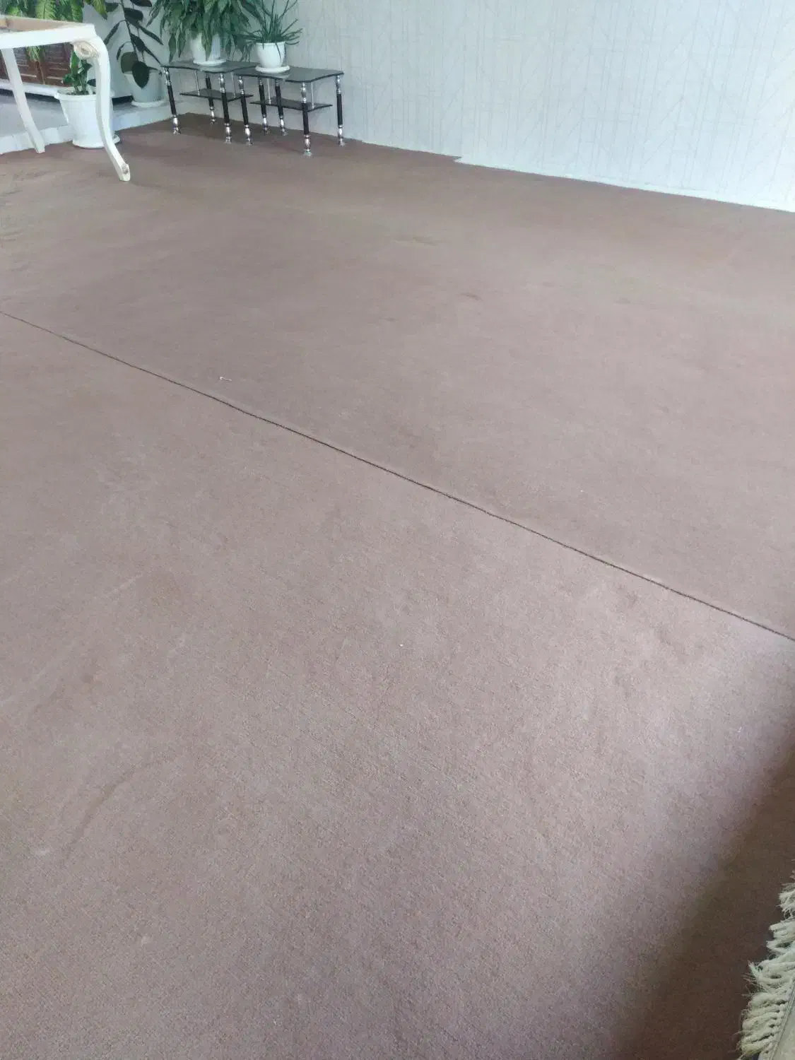 موکت کارکرده|موکت|ارومیه, |دیوار