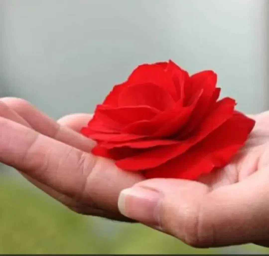 خانمشبانهروزی۳۰تا۴۰سالجهت امورمنزل|استخدام سرایداری و نظافت|تنکابن, |دیوار