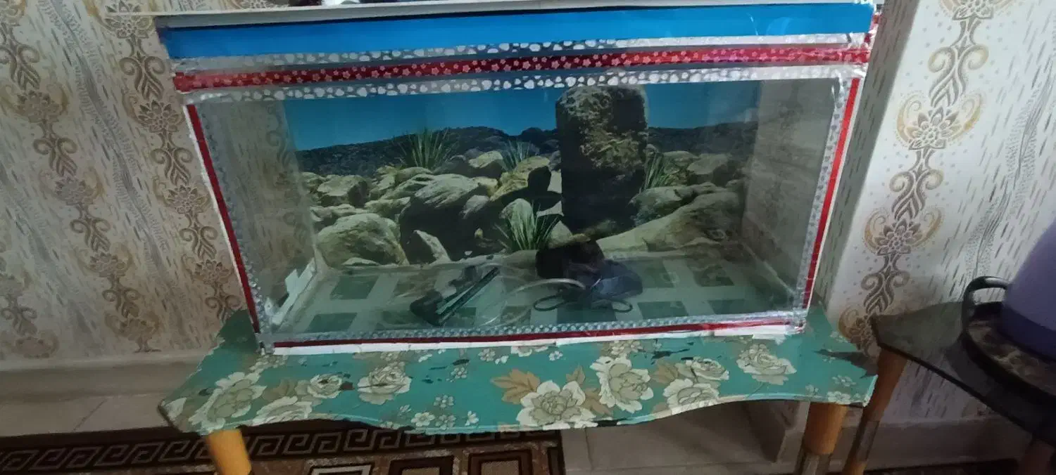 آکواریوم|ماهی|بندرعباس, |دیوار