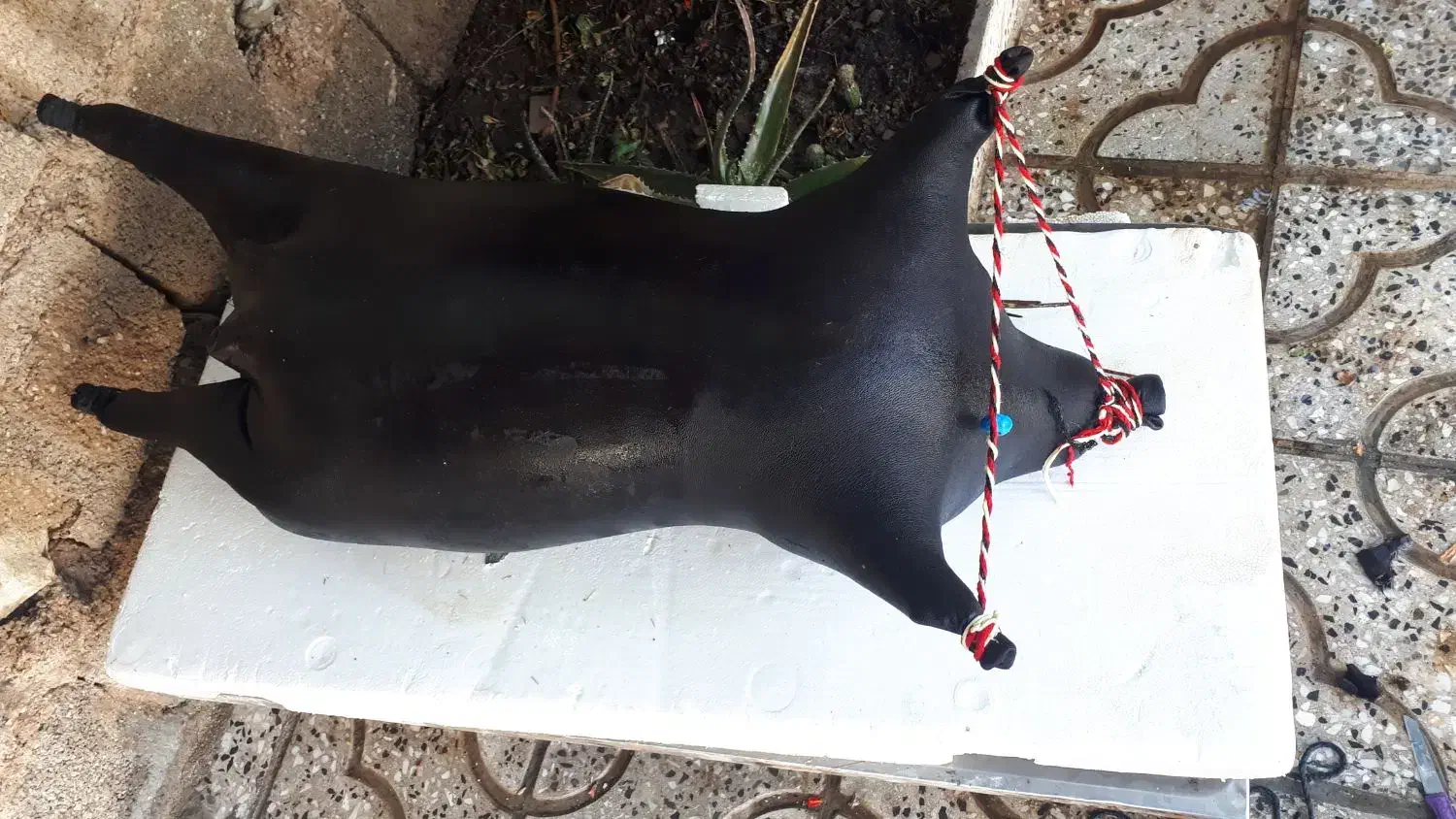 مشک اب|صنایع دستی و سایر لوازم تزئینی|آبدانان, |دیوار