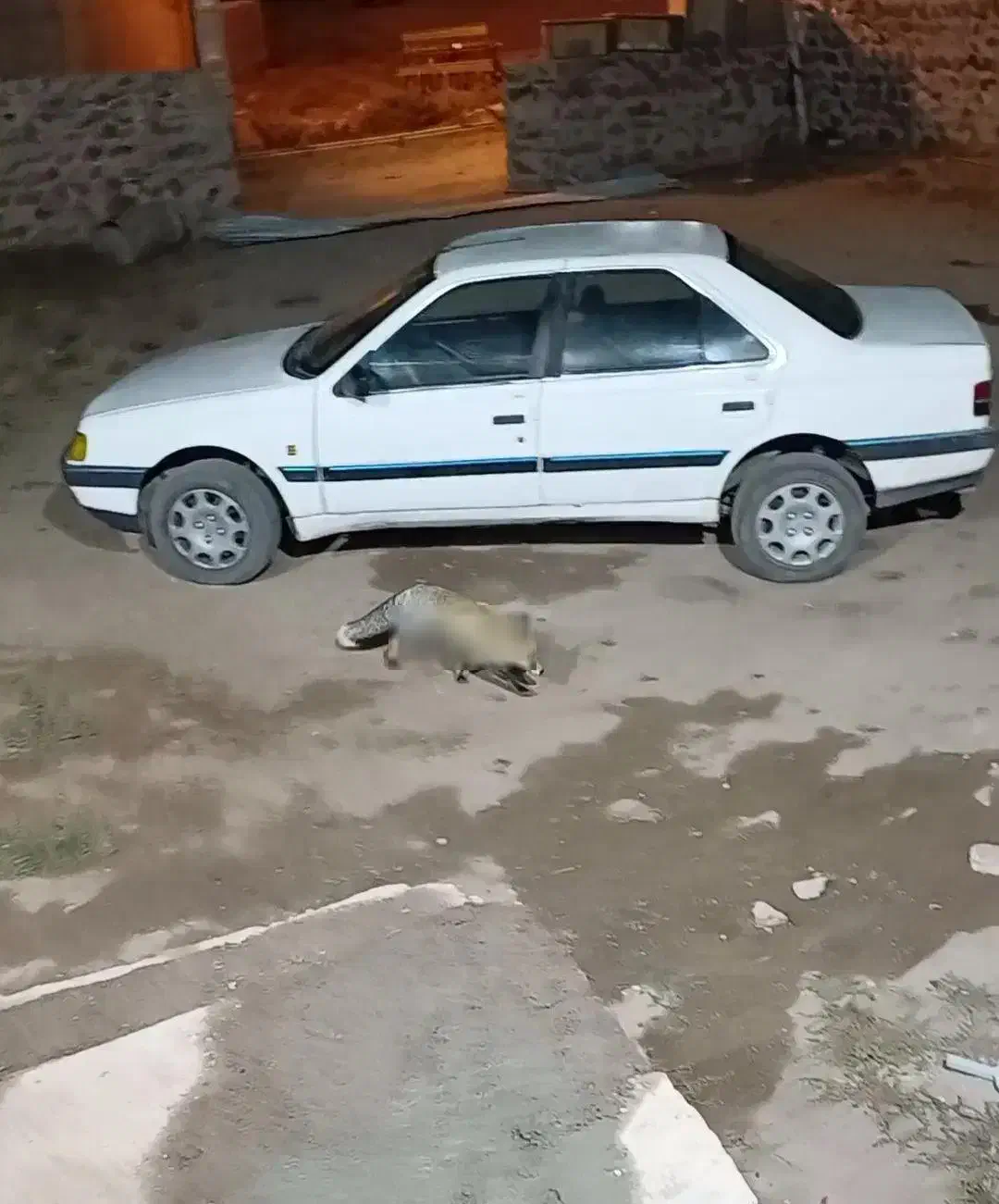 آردی مدل ۸۰ تک سوز|خودرو سواری و وانت|قزوین, |دیوار