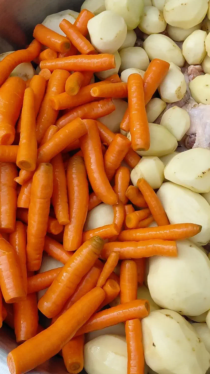 غذای خونگی سگ و گربه|لوازم جانبی حیوانات|شهریار, شهرک شاهد|دیوار