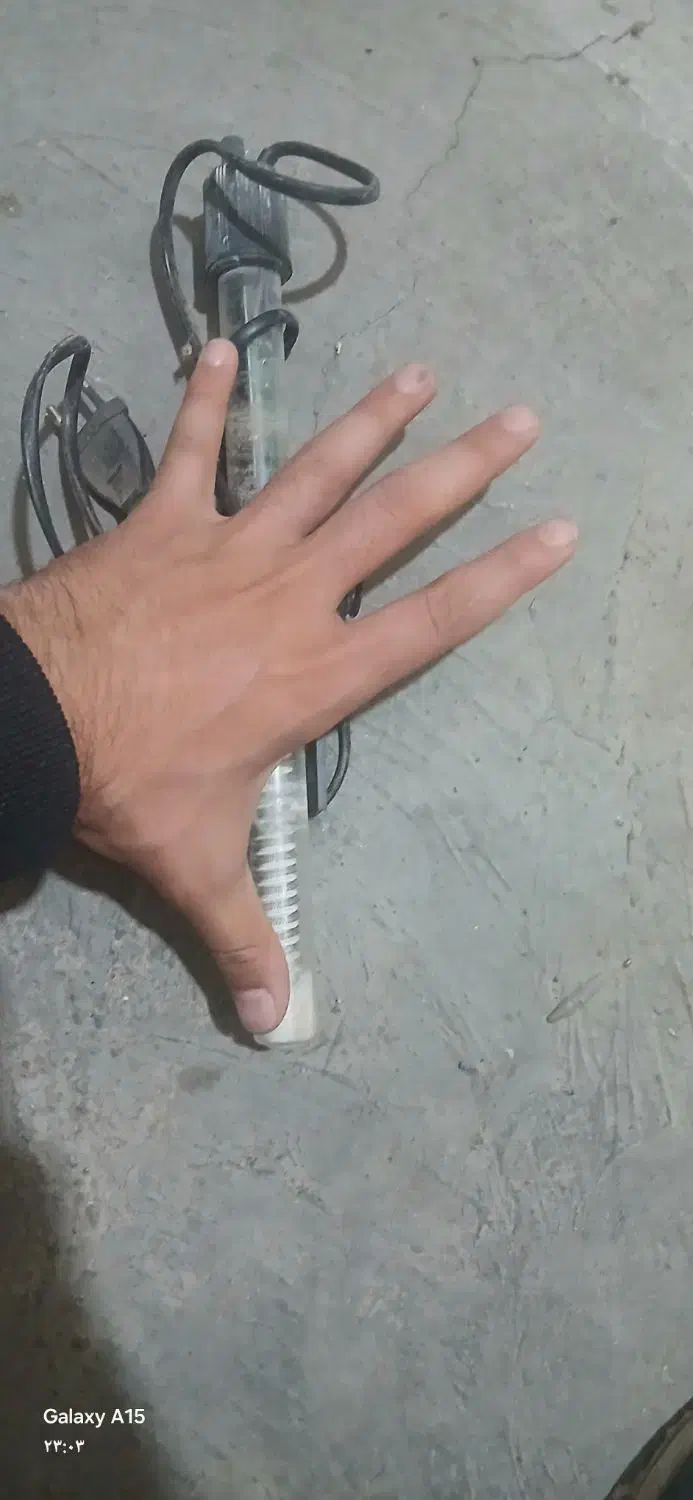 اکواریوم|ماهی|خوی, |دیوار