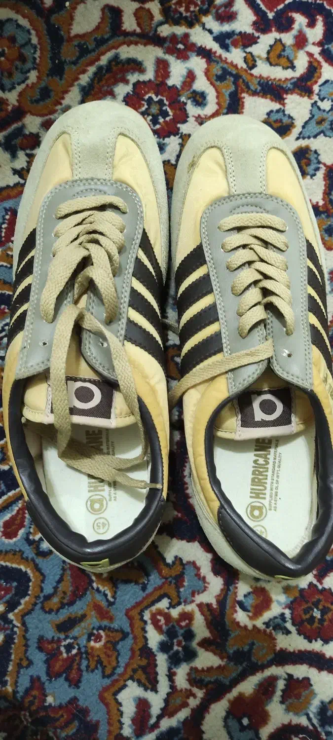 کتانی|کیف، کفش، کمربند|شهرکرد, |دیوار