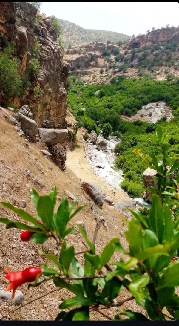 راهنمایی کنید لطفا|فعالیت داوطلبانه|اهواز, منازل کارون|دیوار