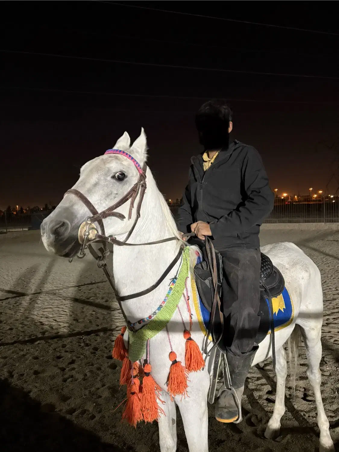 فروش اسب|اسب و تجهیزات اسب‌سواری|باقرشهر, |دیوار