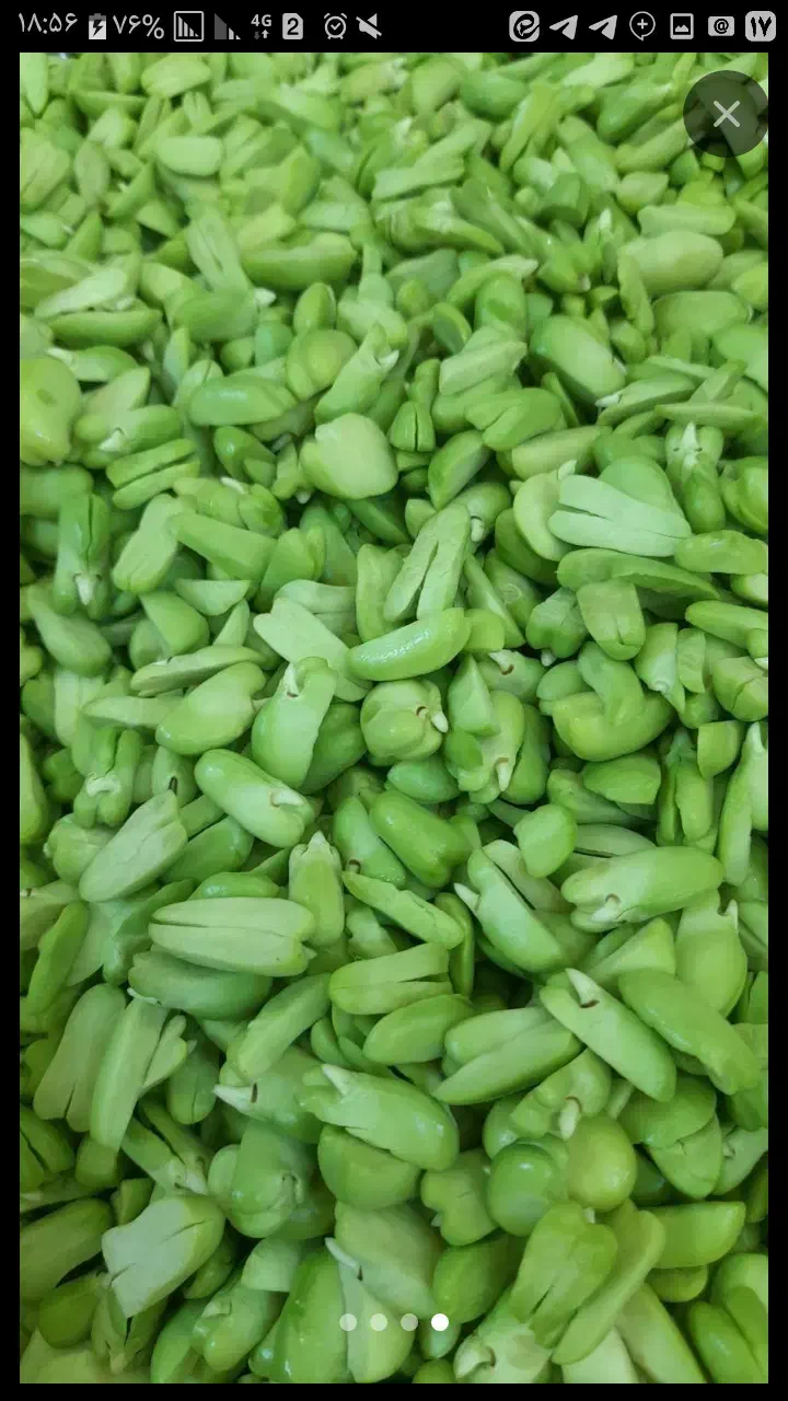 آبغوره گیری و سبزیجات آماده اسفندیاری|خوردنی و آشامیدنی|تربت‌حیدریه, بازار|دیوار