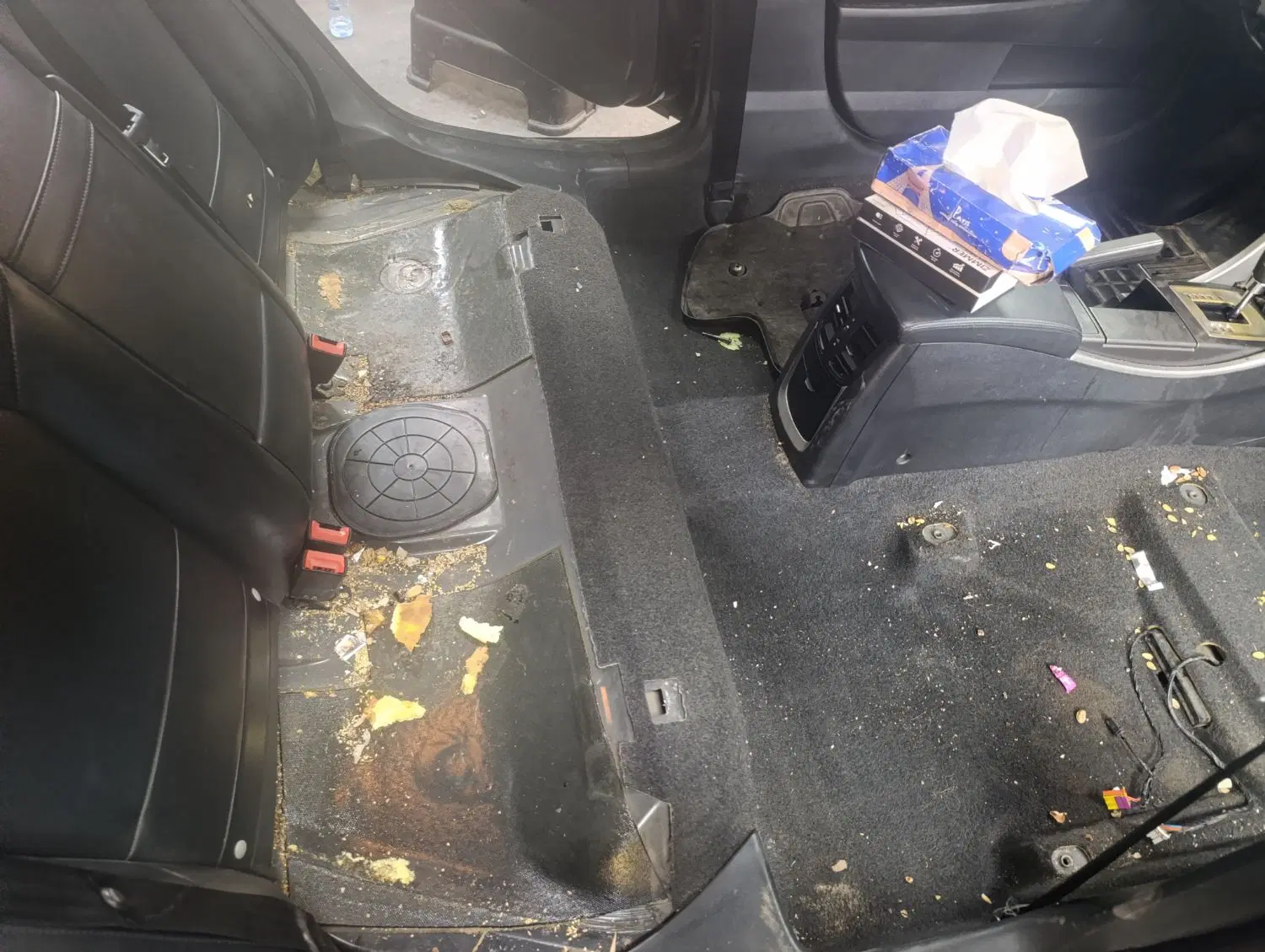 دیتیلینگ احیای رنگ پلیش سرامیک صفرشویی موتورشویی|خدمات خودرو و موتورسیکلت|تهران, جوادیه تهرانپارس|دیوار