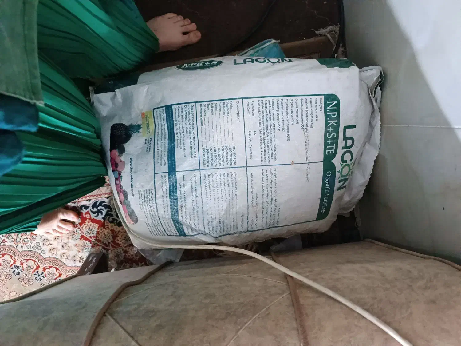 کود|گل و گیاه طبیعی|مشهد, شهید احمدی روشن|دیوار