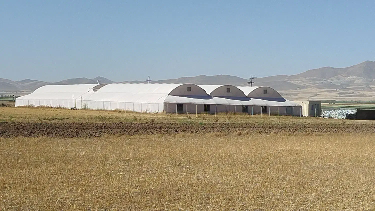 فروش گلخانه|فروش دفتر صنعتی، کشاورزی، تجاری|باغ حلی, |دیوار