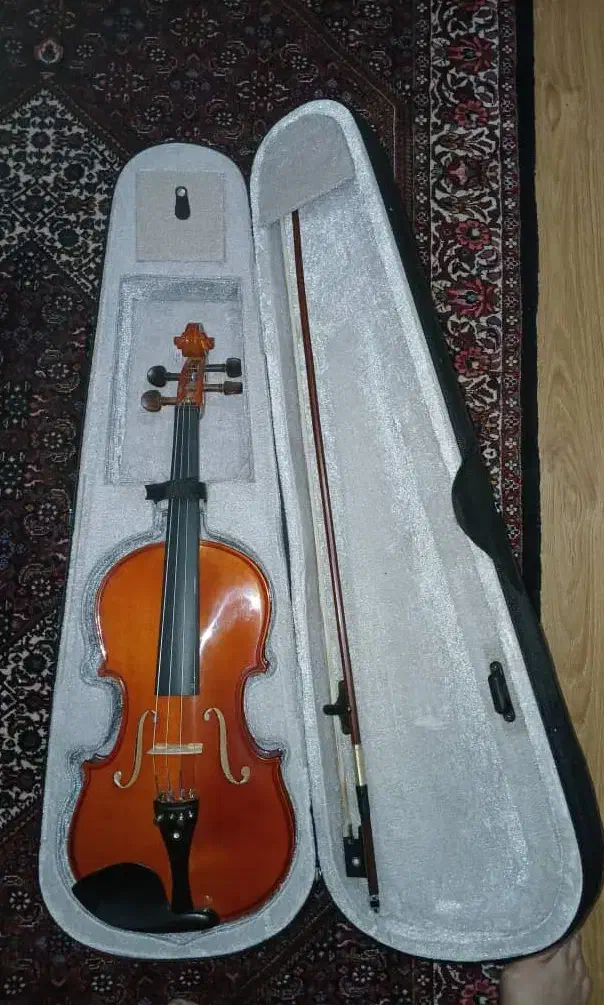 ویولن|ویولن|زنجان, |دیوار