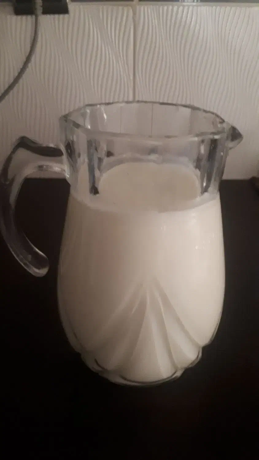 دوغ‌گوسفندی|خوردنی و آشامیدنی|تربت جام, جامرود|دیوار