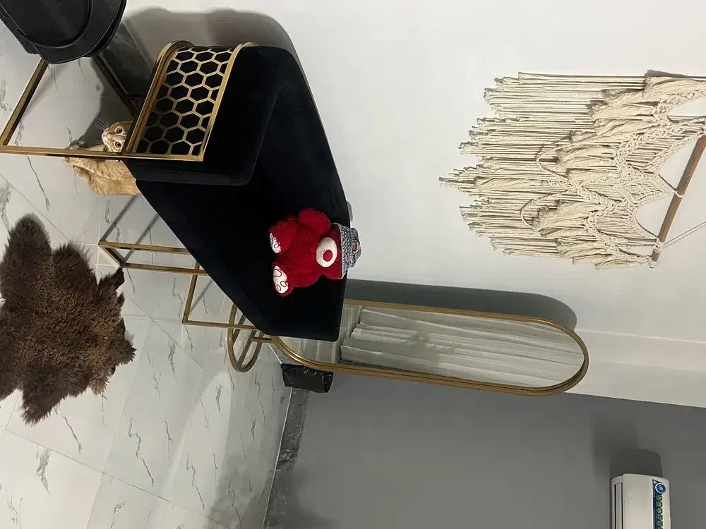 مبل و اینه|مبلمان خانگی و میز عسلی|گنبد کاووس, |دیوار