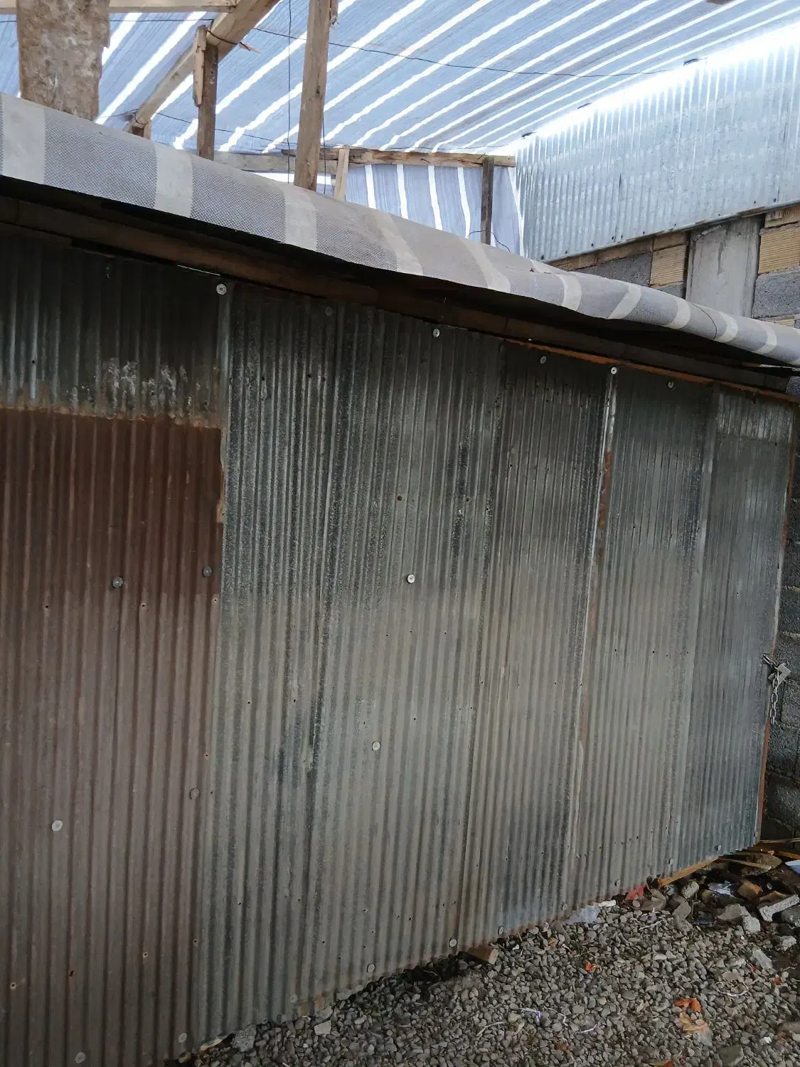 گاری|فروشگاه و مغازه|رشت, نخودچر|دیوار