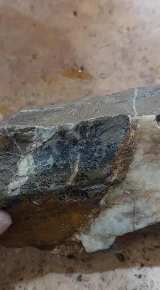 سنگ شجر|کلکسیون اشیاء عتیقه|خوی, |دیوار