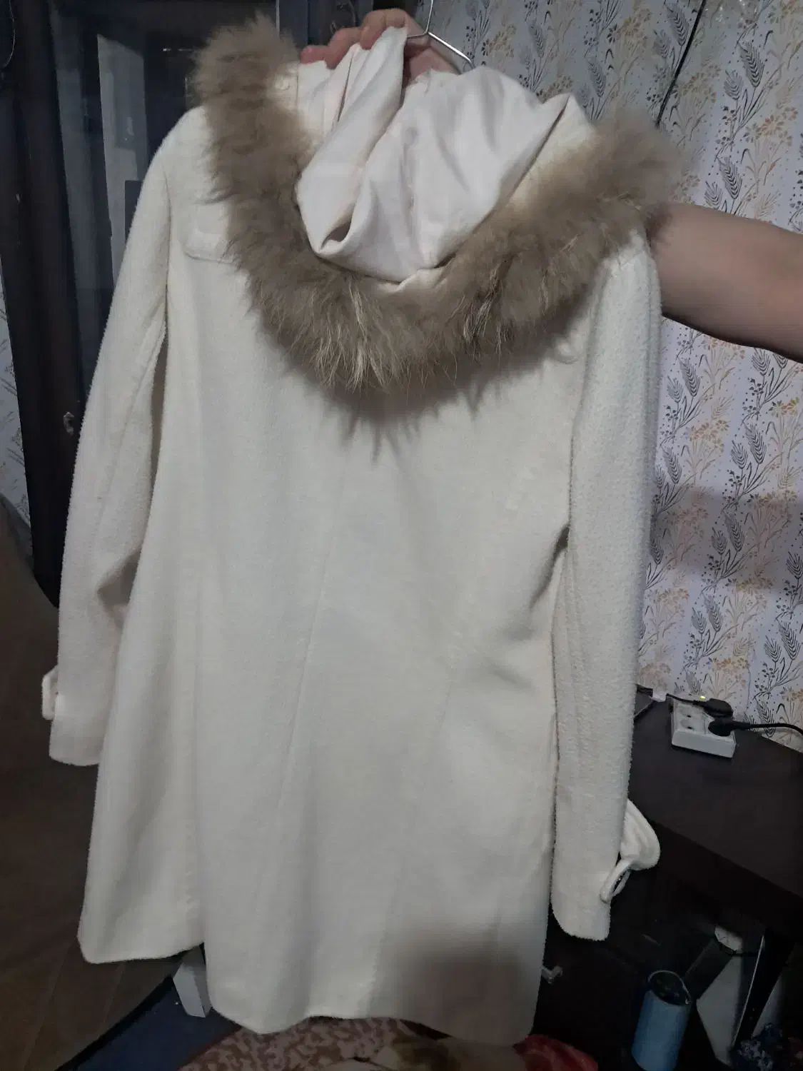 پالتو سالم|لباس|گلبهار, شهر جدید گلبهار|دیوار