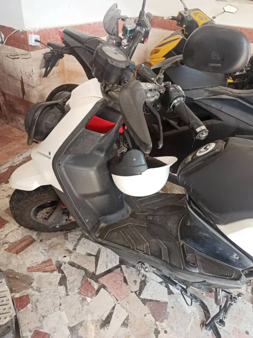 سافاری مادو|موتورسیکلت|کیش, |دیوار