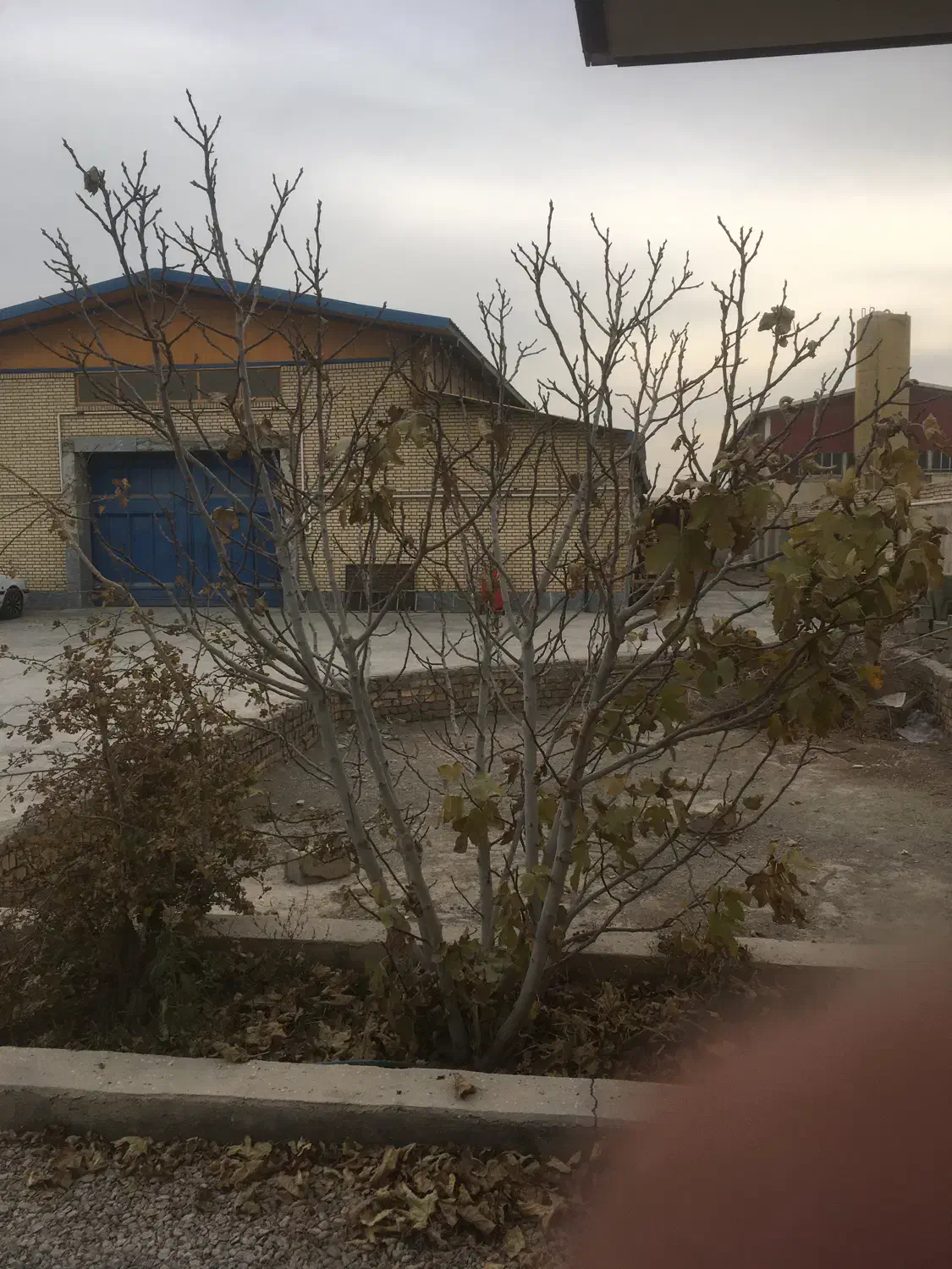 استخدام نیروی کار|استخدام صنعتی، فنی، مهندسی|شاهین‌شهر, برخوار غرب|دیوار