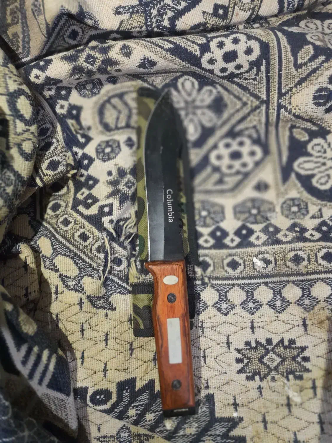 کبوتر معاوضه|کلکسیون و سرگرمی|گنبد کاووس, |دیوار