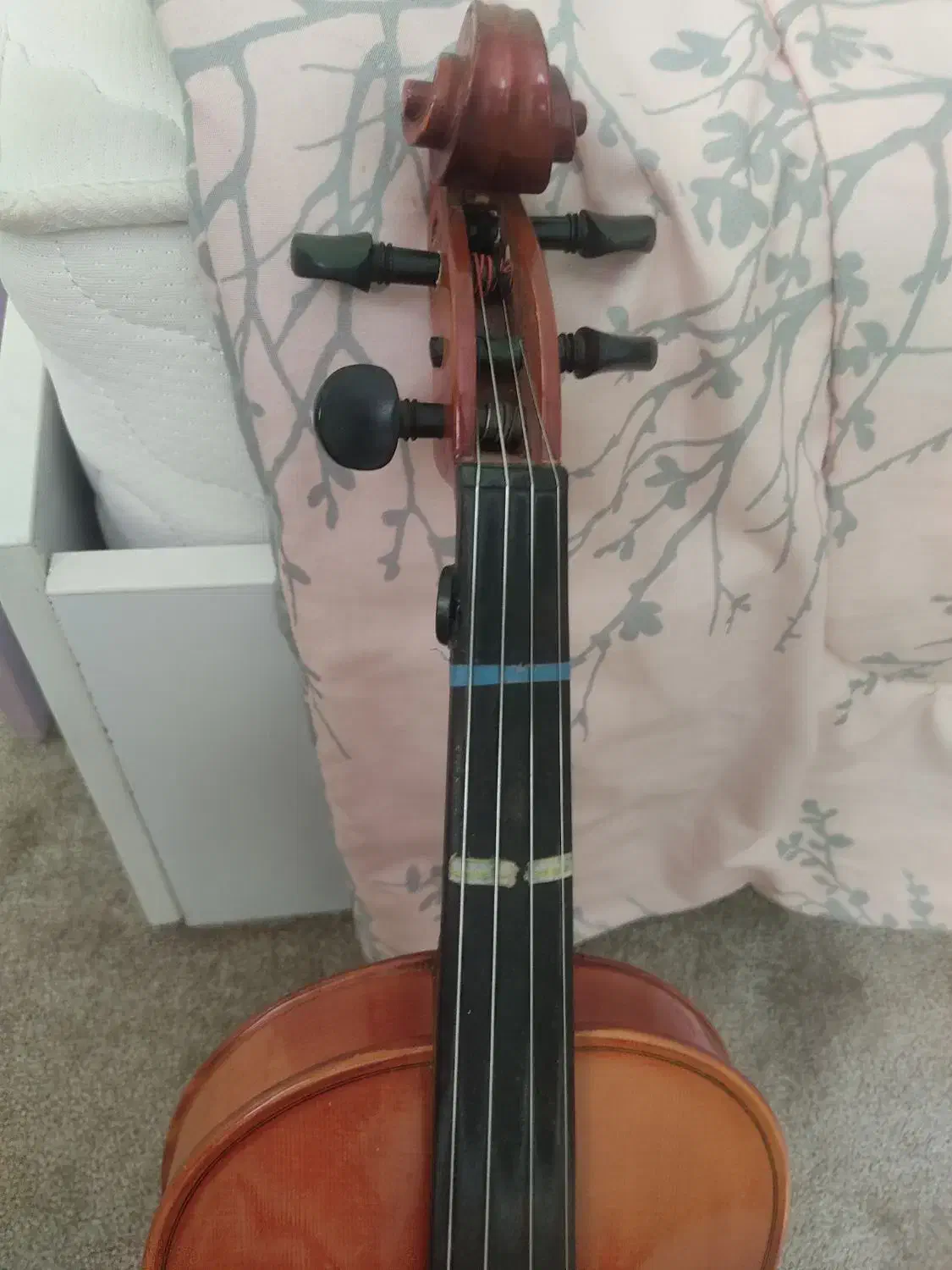 ویولون ۴/۴ مورد تایید استاد|ویولن|سنندج, |دیوار