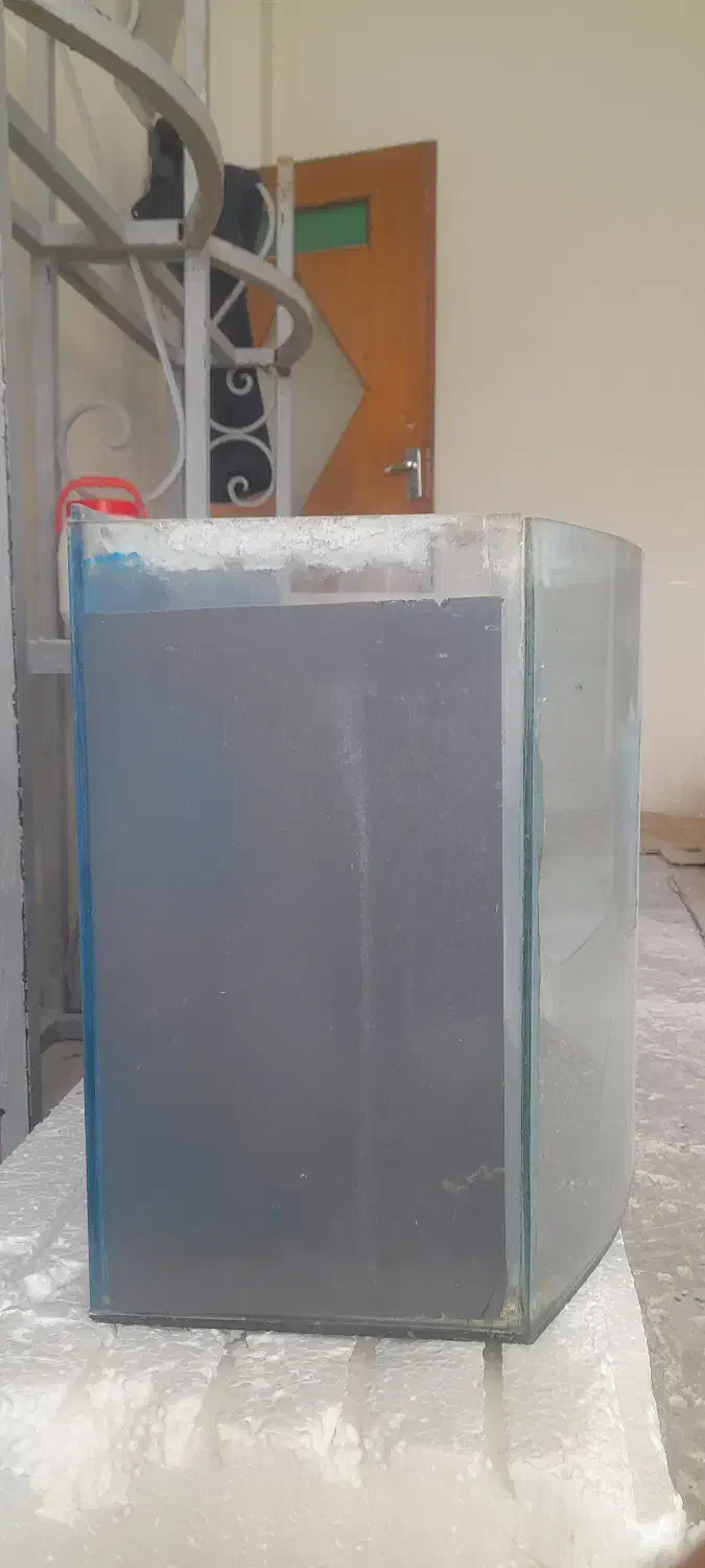 اکواریوم ماهی شیشه خم|ماهی|اردبیل, |دیوار