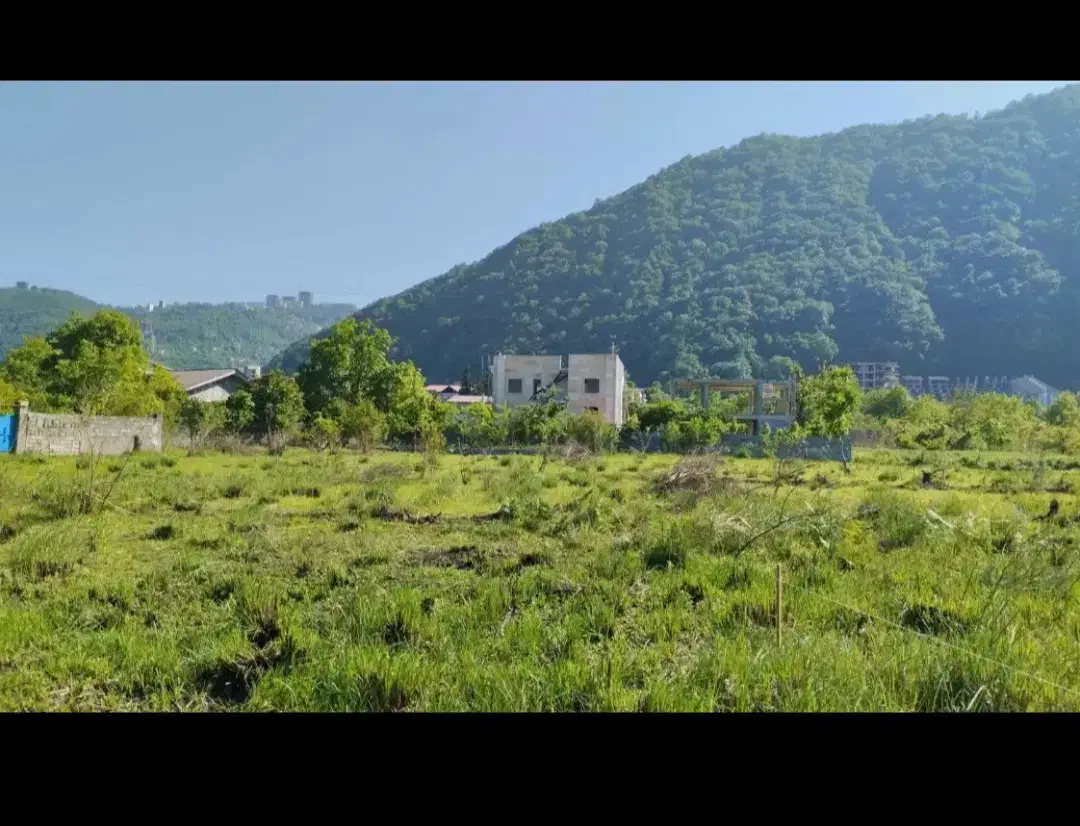 فروش زمین سنددار|فروش زمین و ملک کلنگی|کتالم و سادات شهر, |دیوار