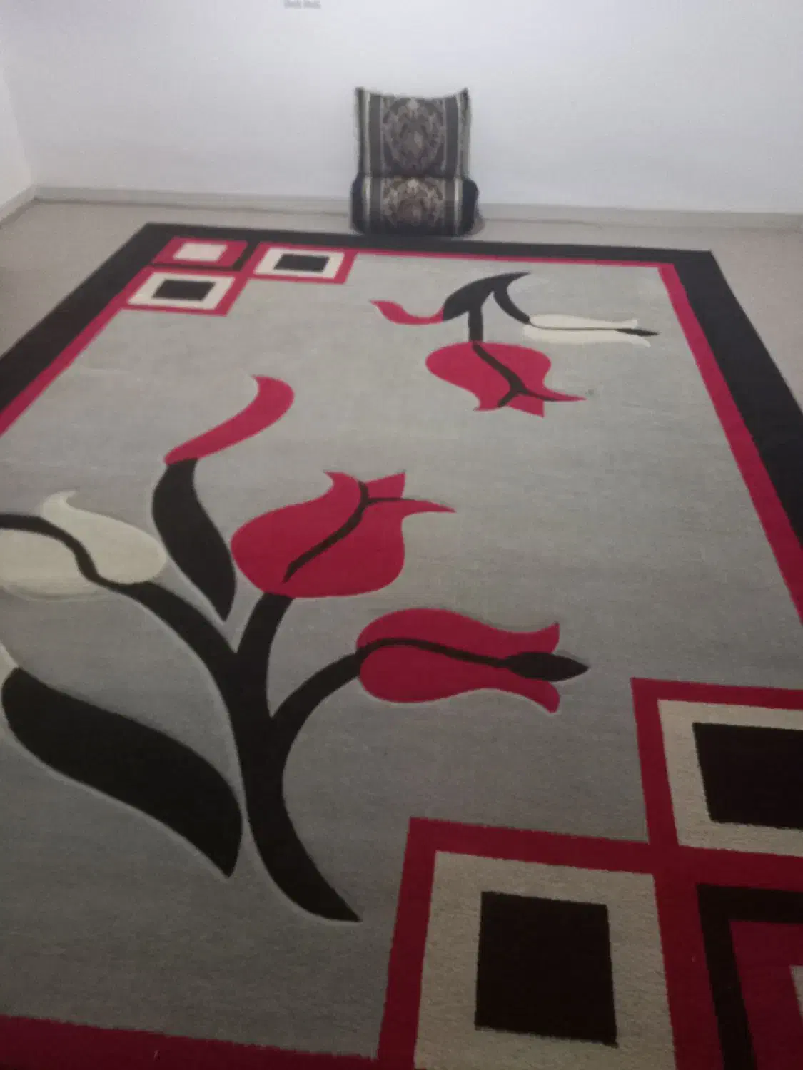 دو عدد گلیم ۱۲ متری|گلیم، جاجیم، گبه|دوگنبدان, |دیوار