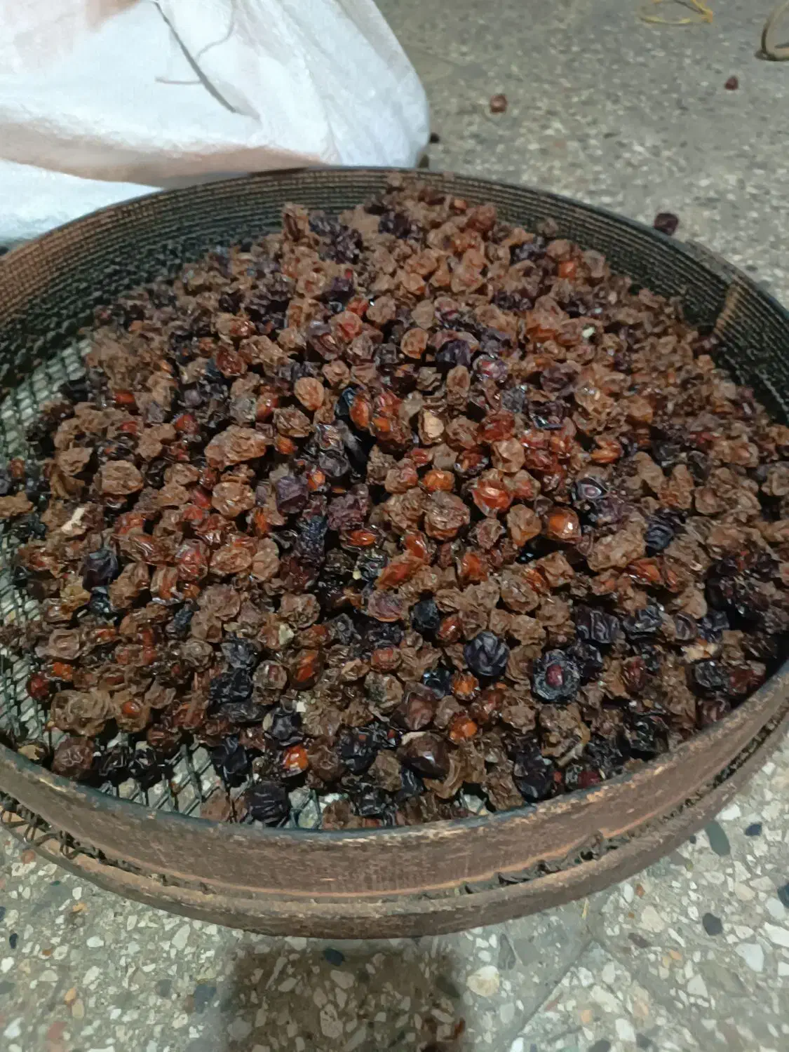 آلوچه و گیلاس|خوردنی و آشامیدنی|تهران, ائمه اطهار|دیوار