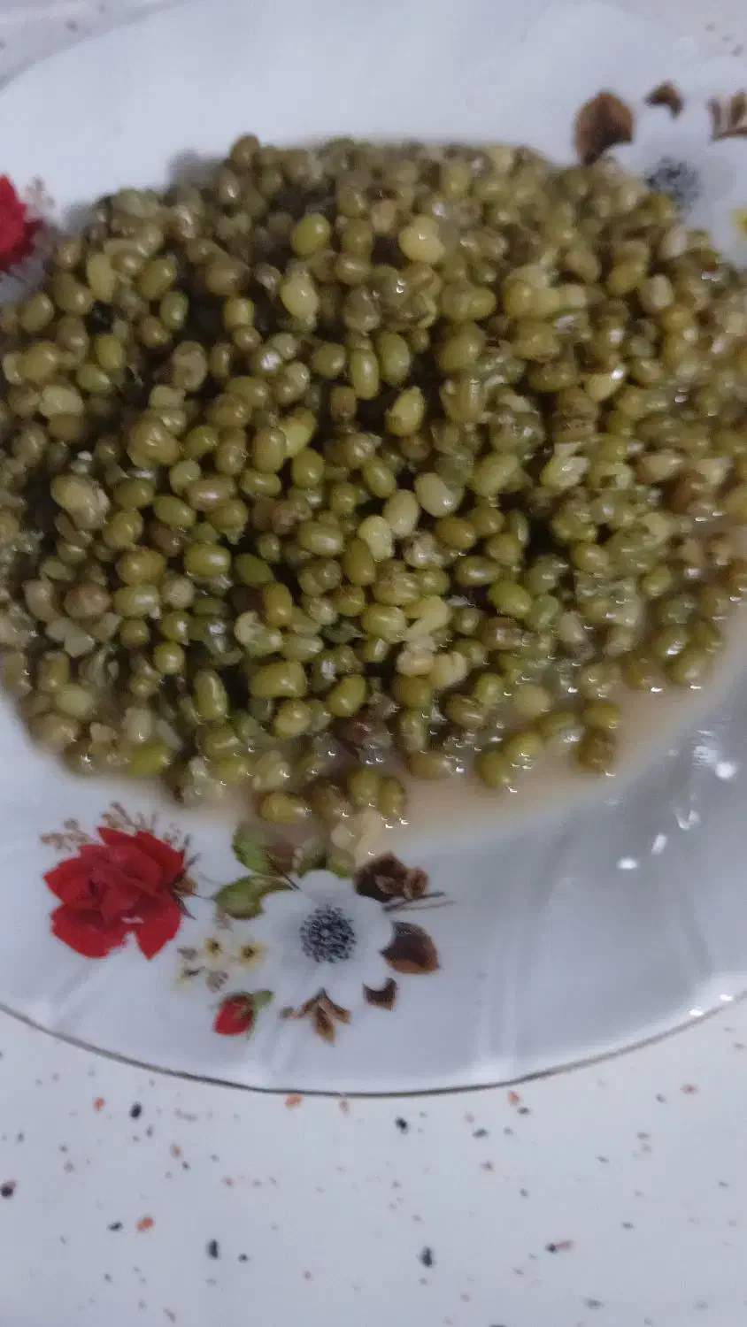 ماش محلی|خوردنی و آشامیدنی|شیراز, حومه شیراز|دیوار