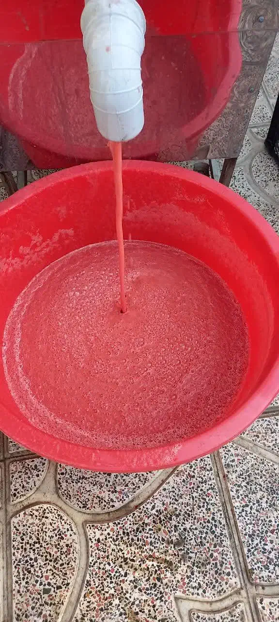 آبگیری گوجه به همراه گوجه فرنگی زنجان مخصوص رب|خوردنی و آشامیدنی|محمدشهر, عباس آباد|دیوار