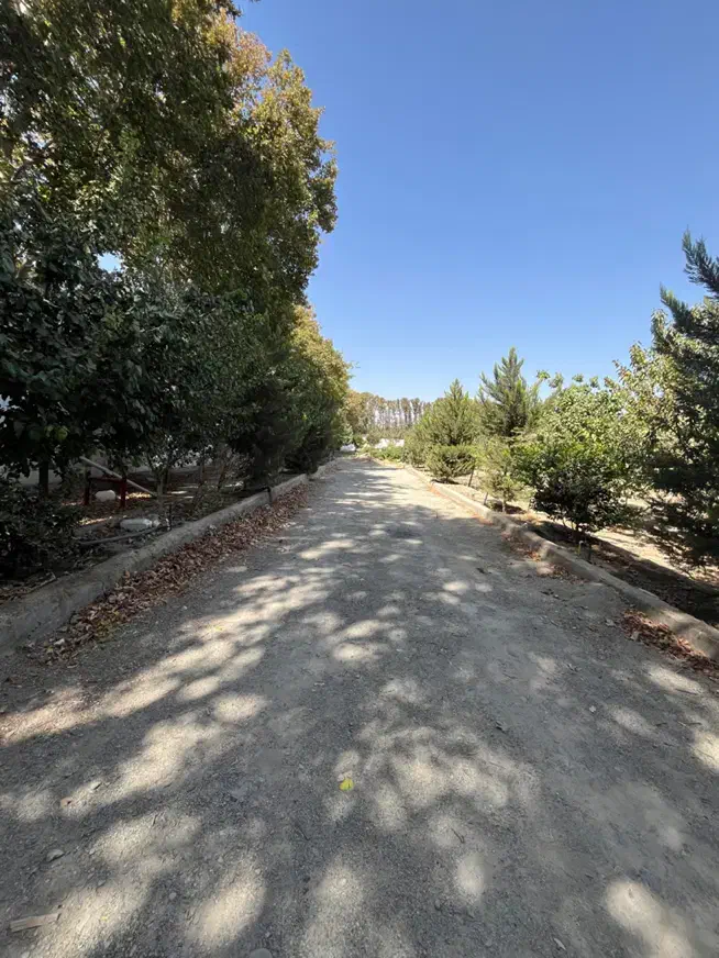 ۲۶۰۰متر زمین/سند تکبرگ/چهاردیواری|فروش زمین و ملک کلنگی|محمدشهر, عباس آباد|دیوار