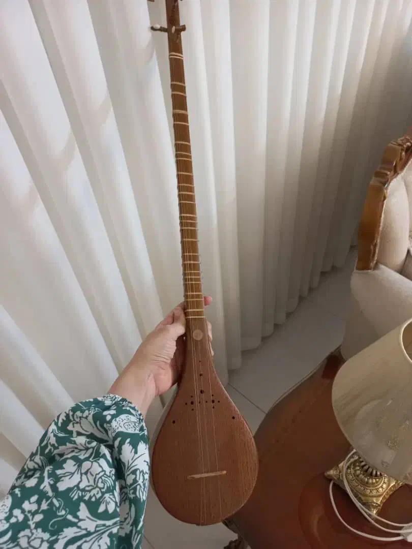 سازسه تار|سازهای سنتی|محمدشهر, محمدشهر|دیوار