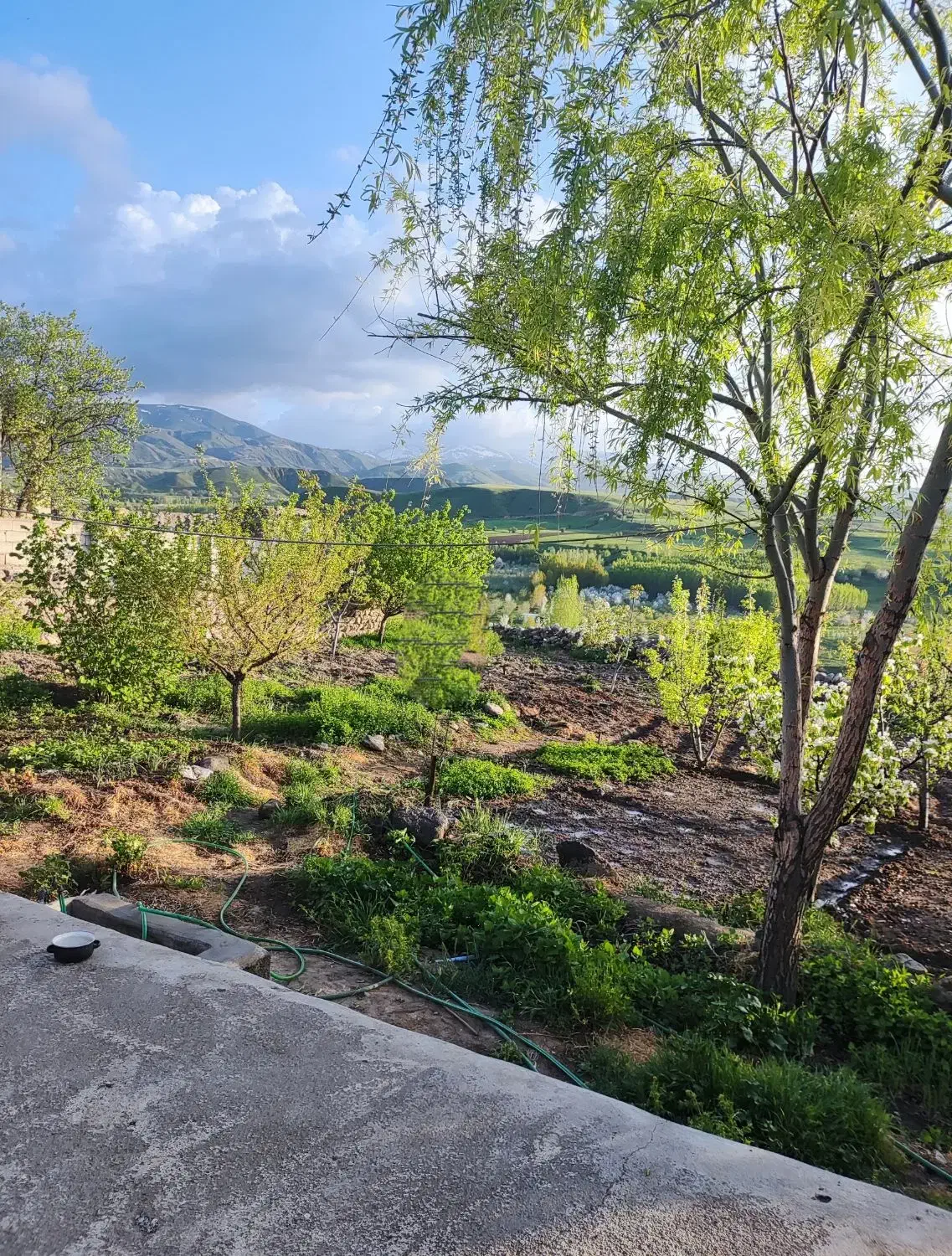 باغ و ویلا در روستای آلوچ|فروش خانه و ویلا|مشگین شهر, |دیوار