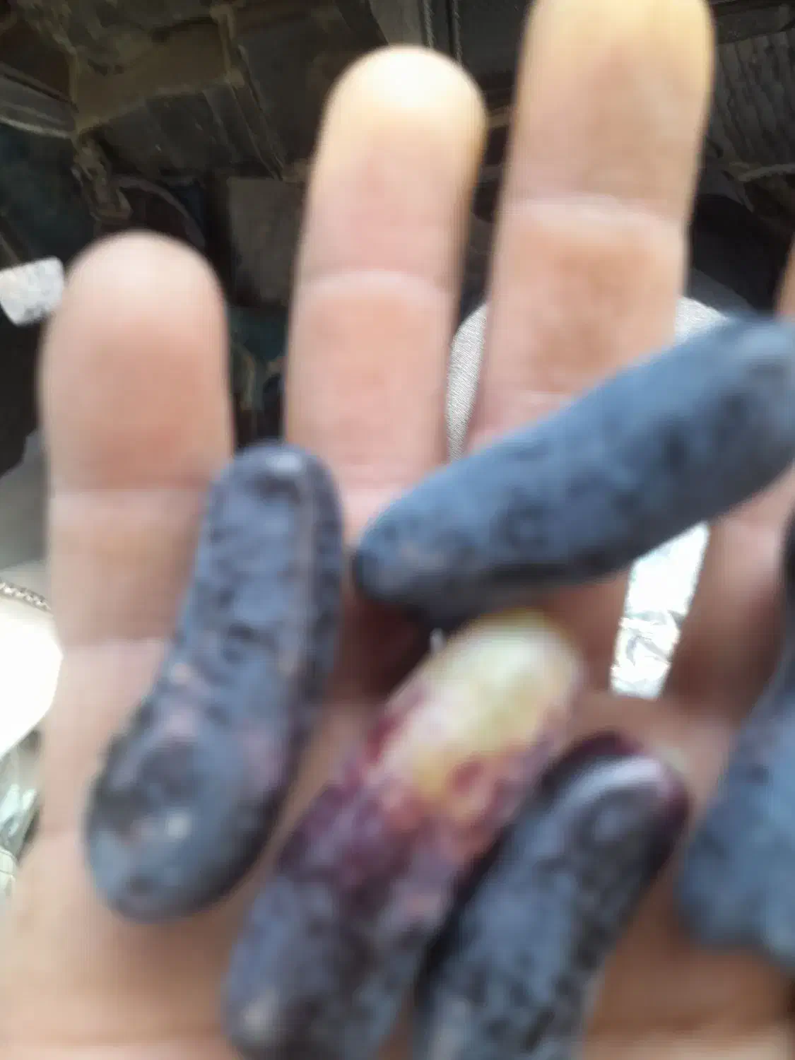 gareap|عمده‌فروشی|بافت, |دیوار