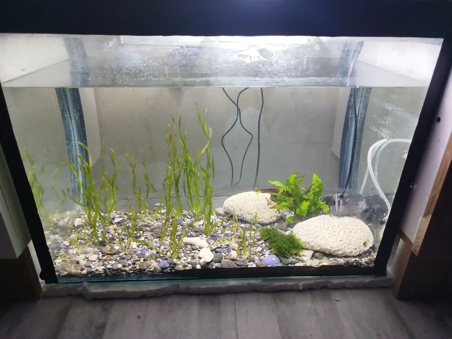 اکواریوم زیبا وسایل|ماهی|مشهد, سیلو|دیوار