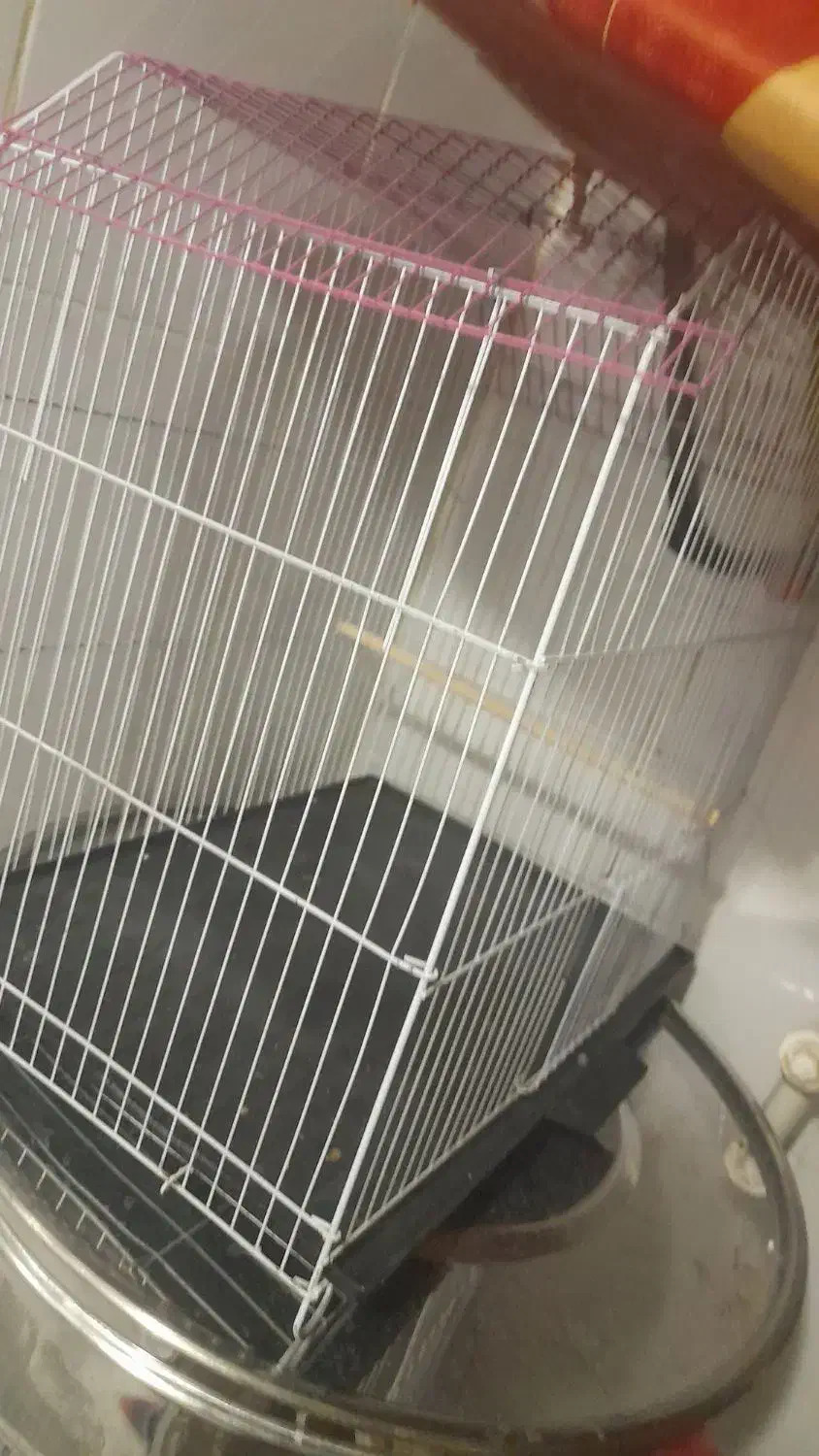 قفس|لوازم جانبی حیوانات|چمران, |دیوار