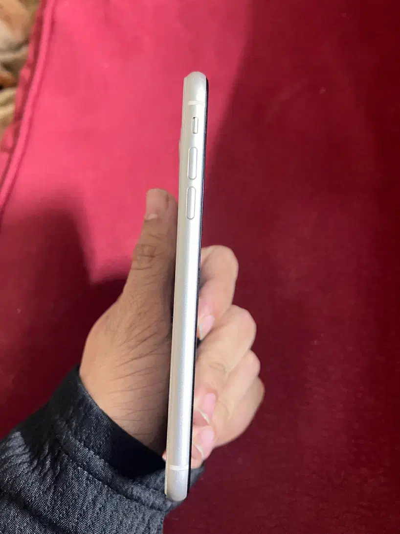 ایفون ۱۱|موبایل|بابل, |دیوار