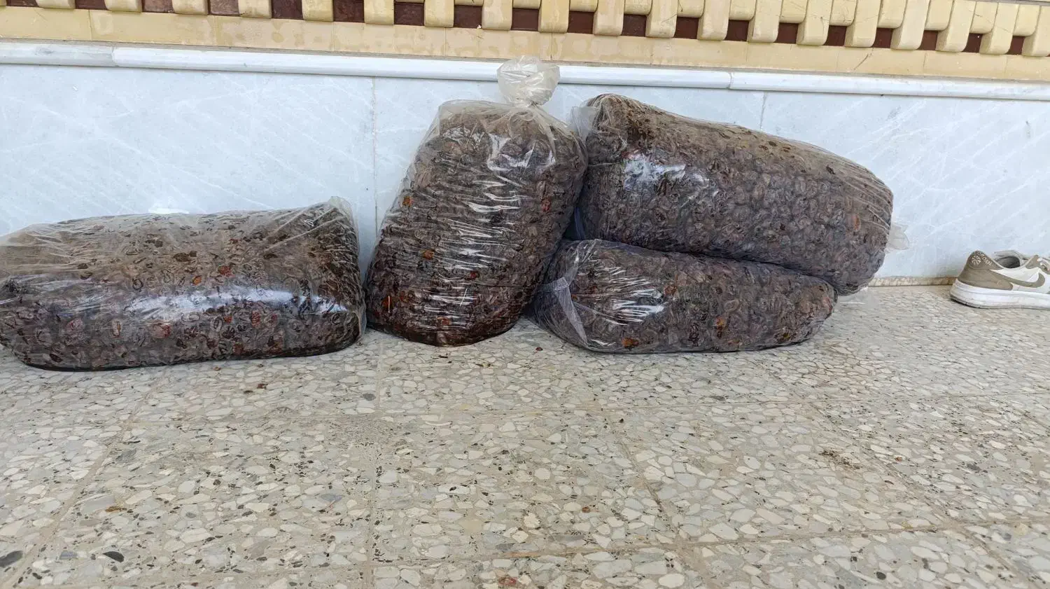 خرمای کبکاب|فعالیت داوطلبانه|وحدتیه, |دیوار