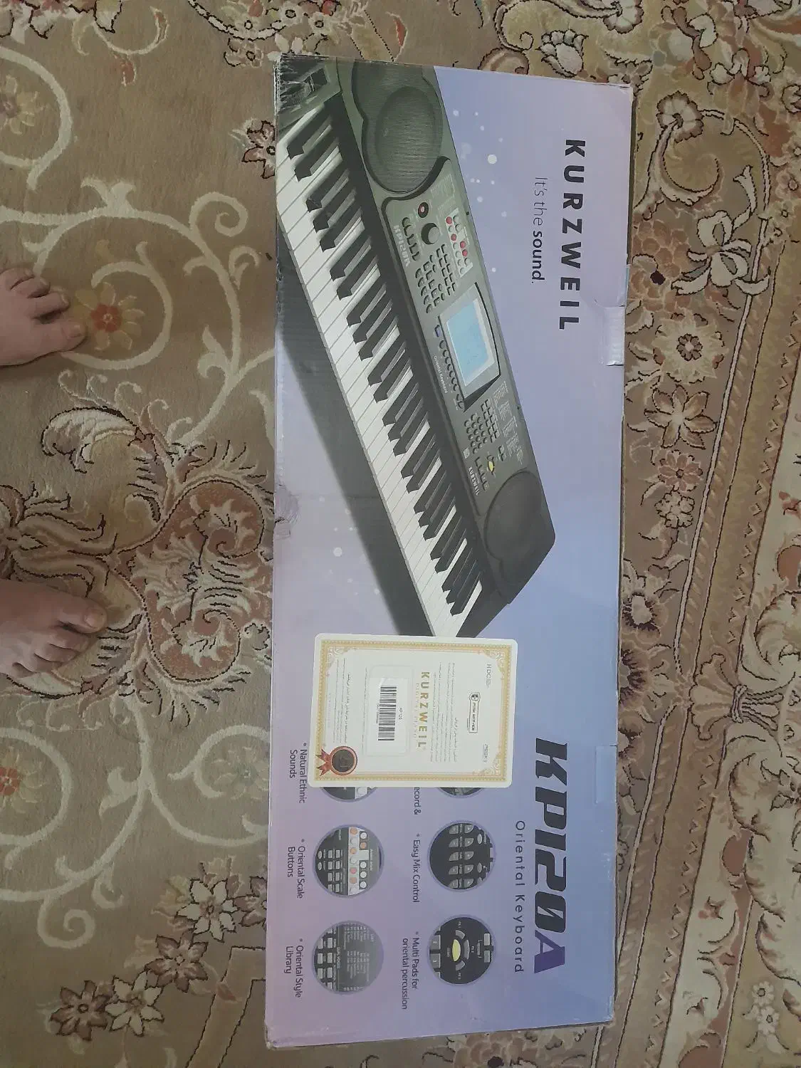 کیبورد کروزویل|پیانو، کیبورد، آکاردئون|مبارکه, |دیوار