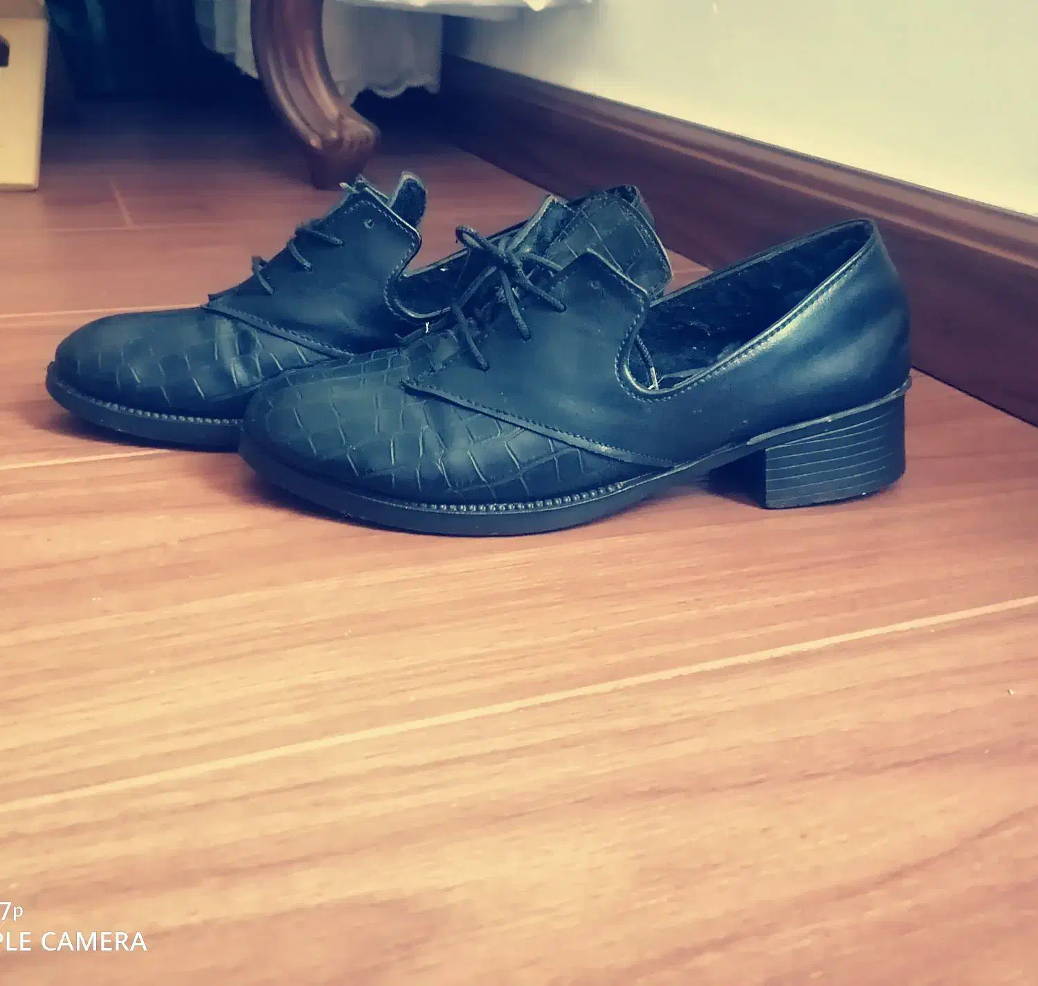 کفش کالج|کیف، کفش، کمربند|اردبیل, |دیوار