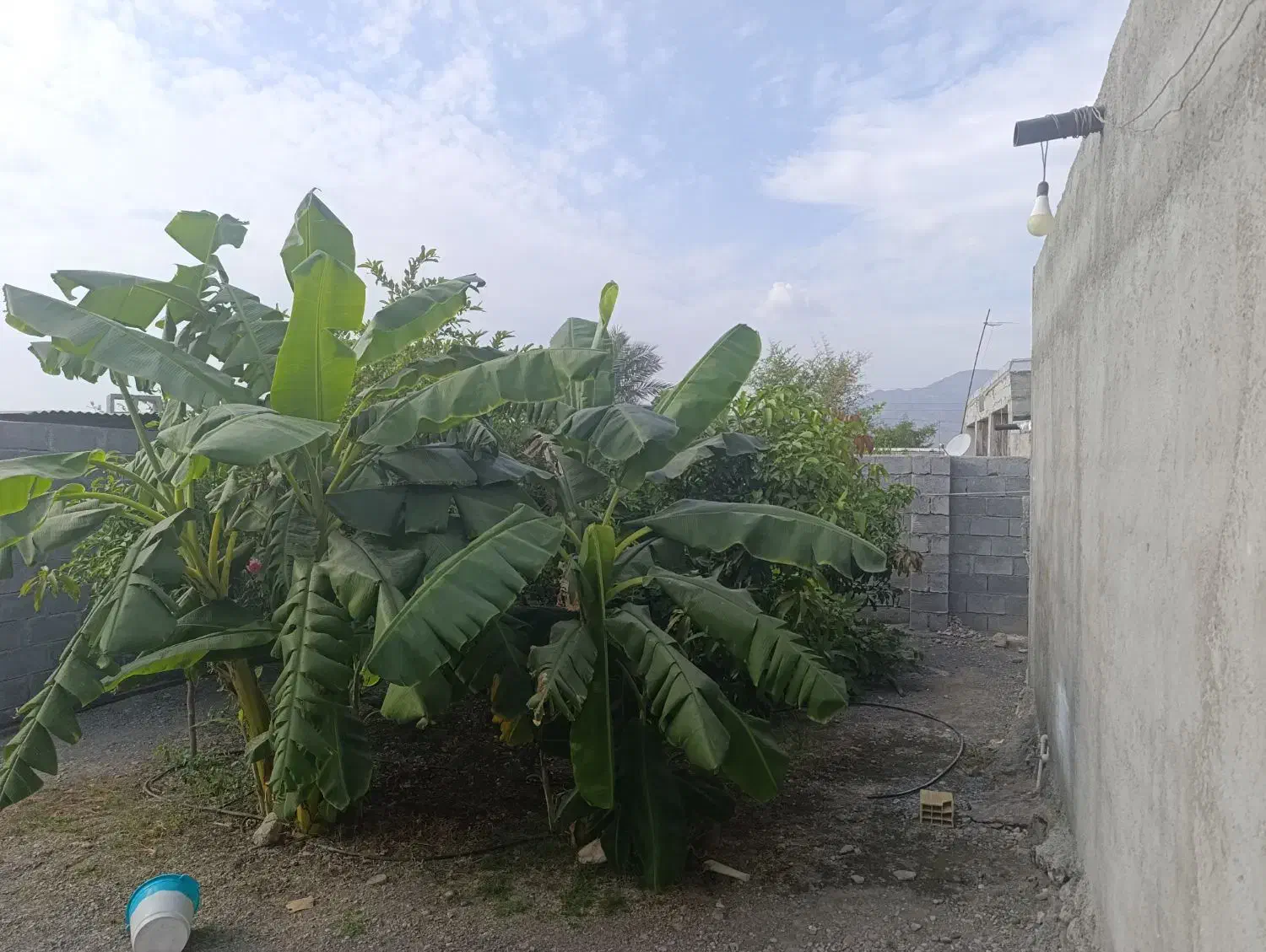 فروش خانه ویلایی ۱۴۰ متری ۲ خوابه|فروش خانه و ویلا|منوجان, |دیوار