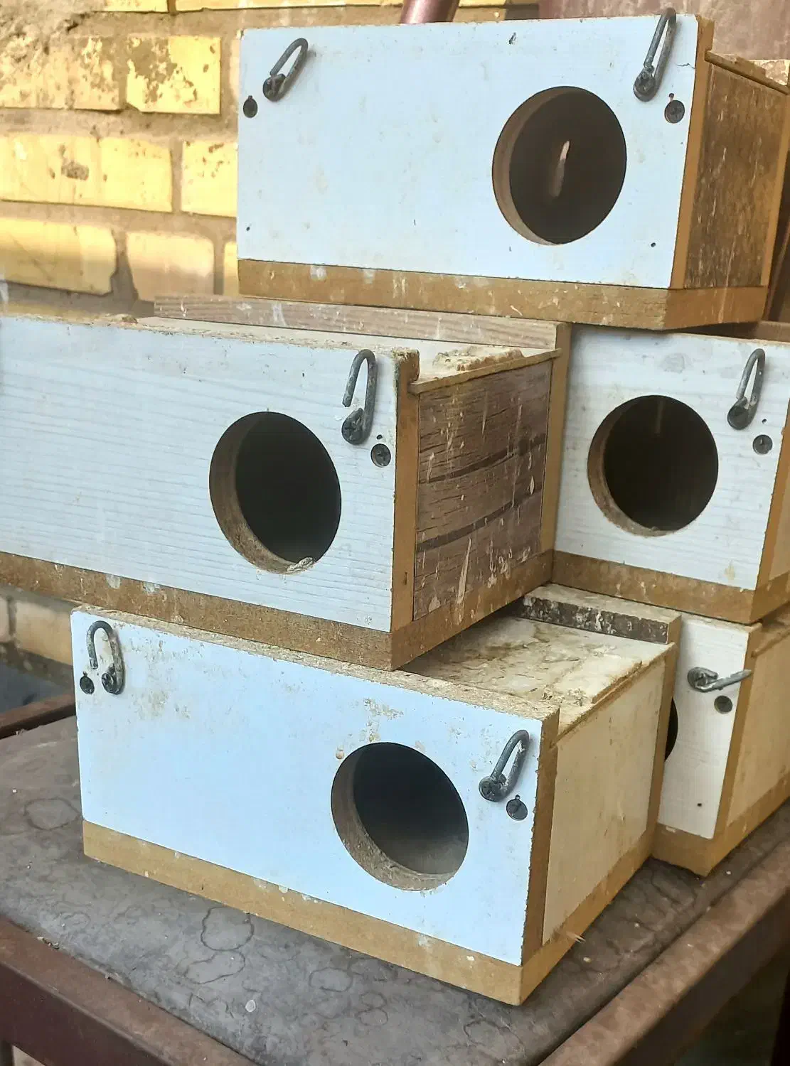 قفس و لانه پرنده|لوازم جانبی حیوانات|اهواز, فاز ۵ پاداد|دیوار