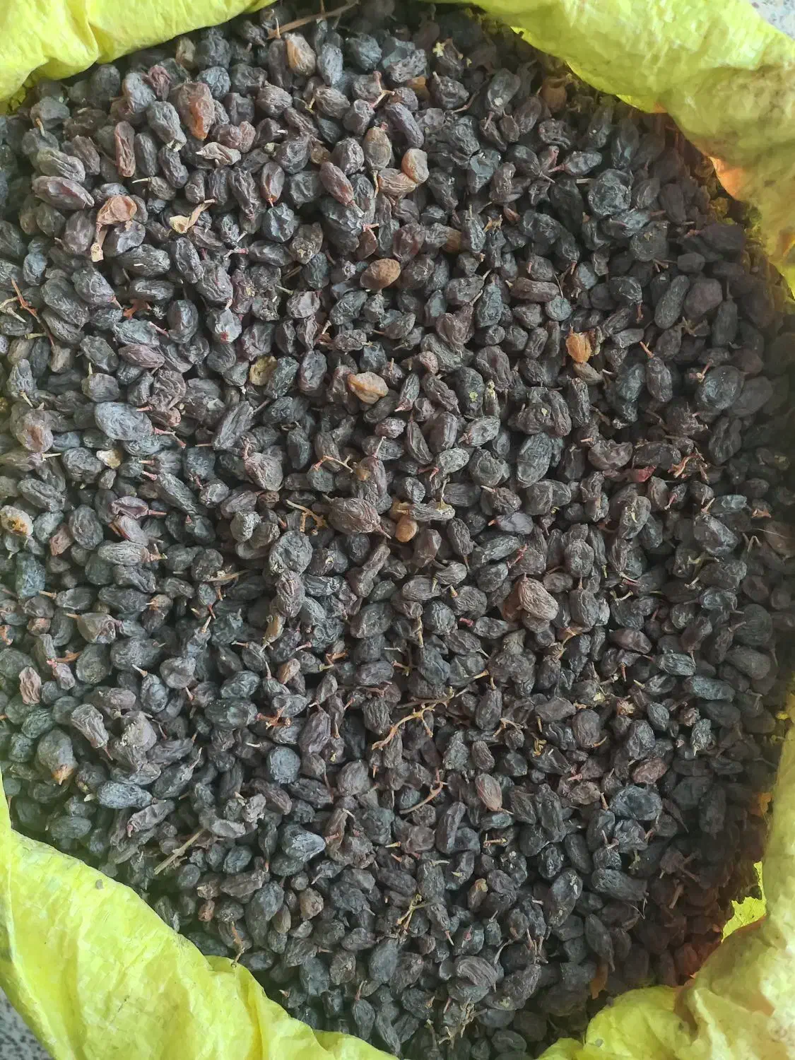 کشمش افتابی درجه ۱|عمدهفروشی|یزد, |دیوار