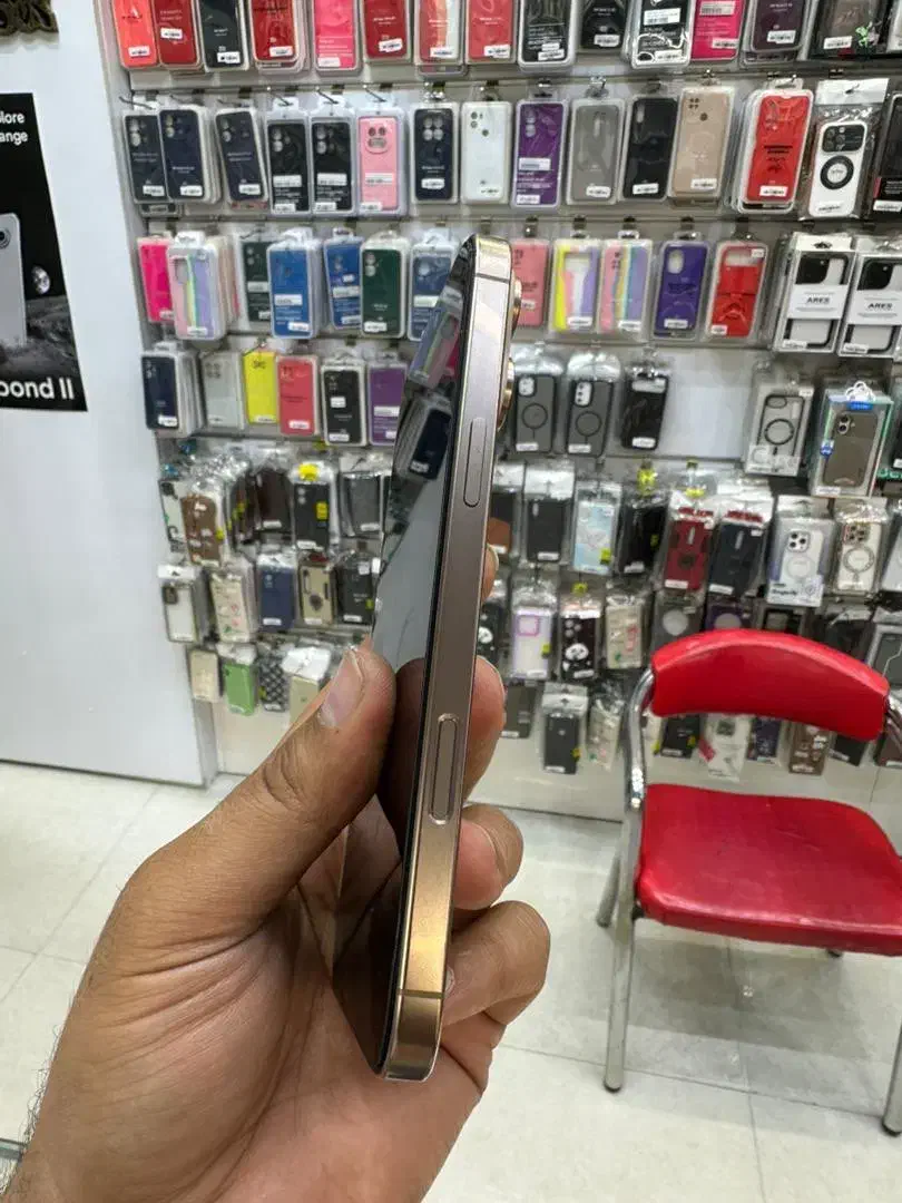 ۱۶ پرومکس|موبایل|مشهد, آزادشهر|دیوار