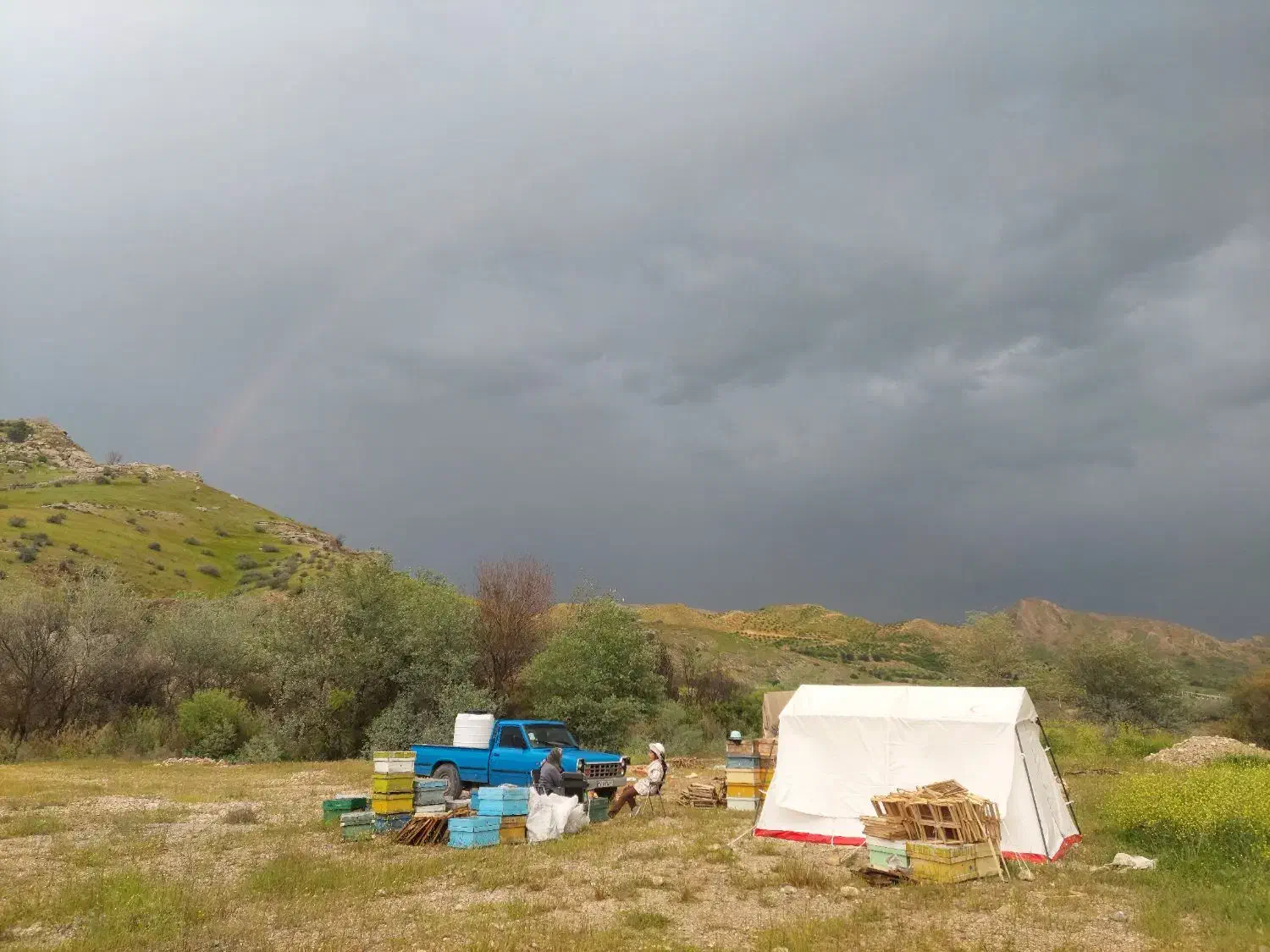 نیسان زامیاد گازسوز|خودرو سواری و وانت|یاسوج, |دیوار