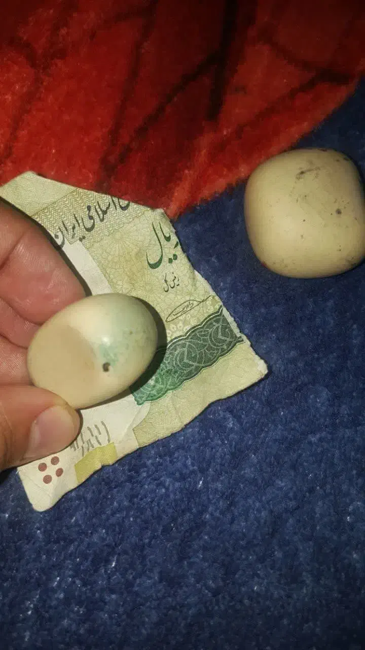 سنگ الماس آسیاب|جواهرات|خرم‌آباد, |دیوار