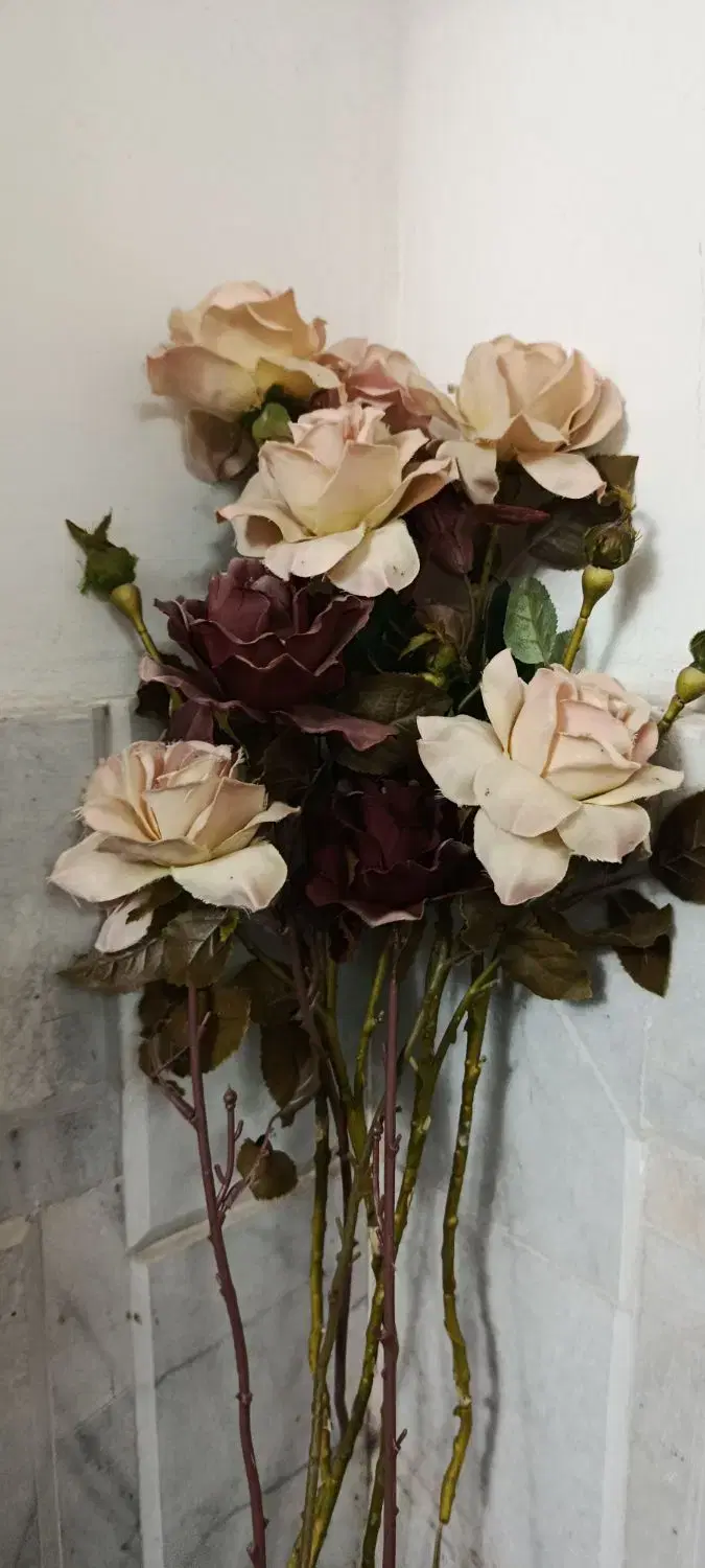 گل خارجی|گل مصنوعی|زاهدان, |دیوار