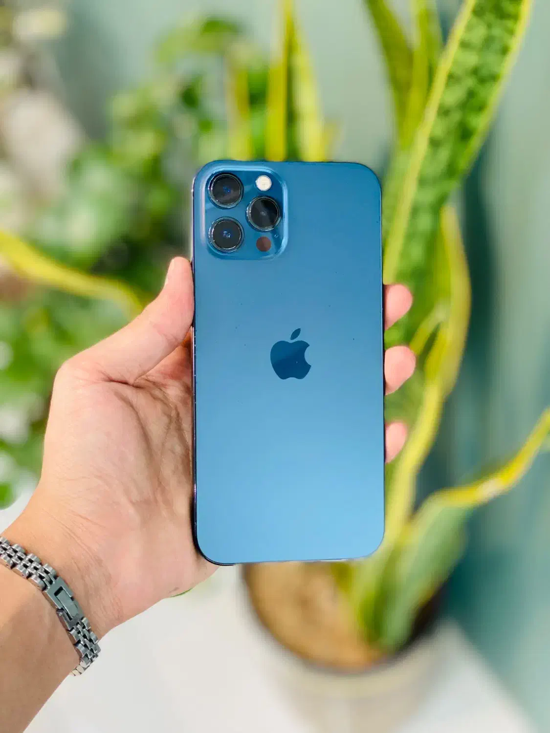 12pro|موبایل|کاشان, دروازه فین|دیوار