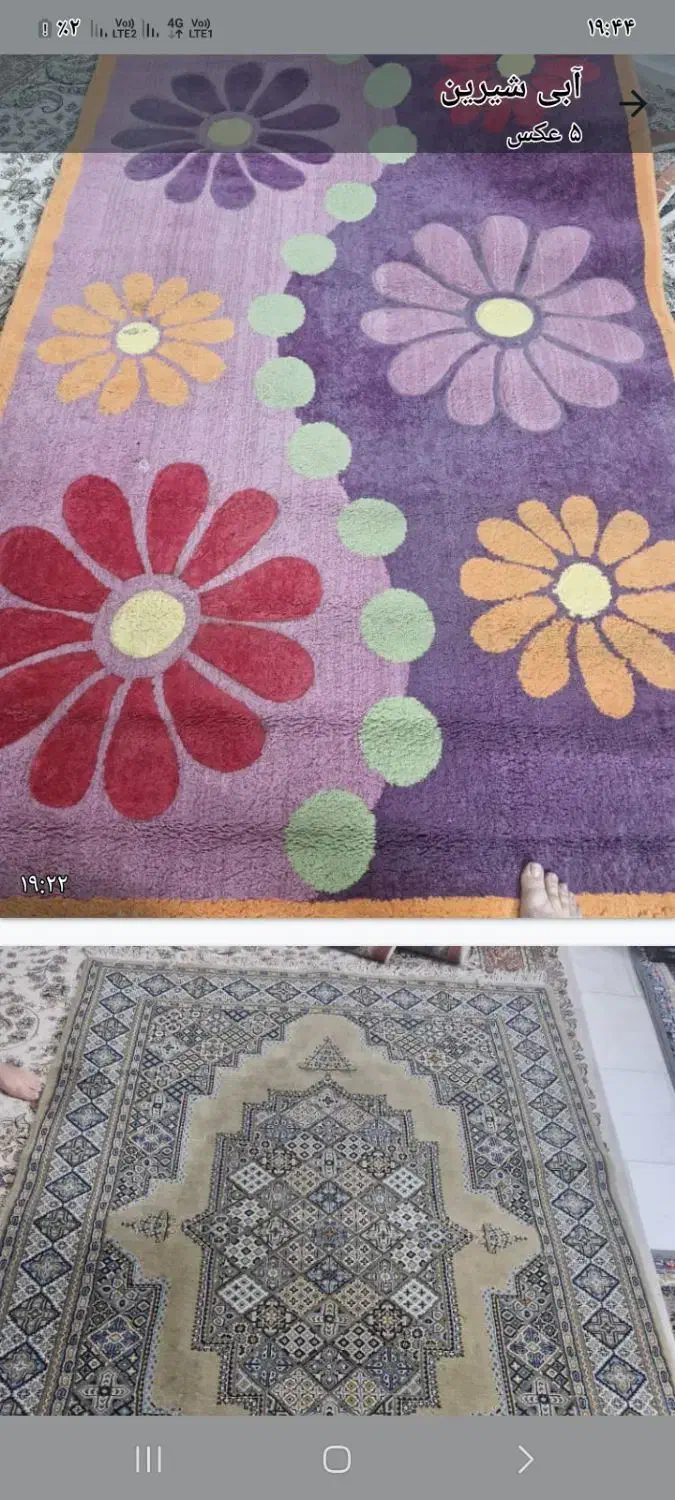 جاجیم|فرش|رشت, کوی مهر|دیوار